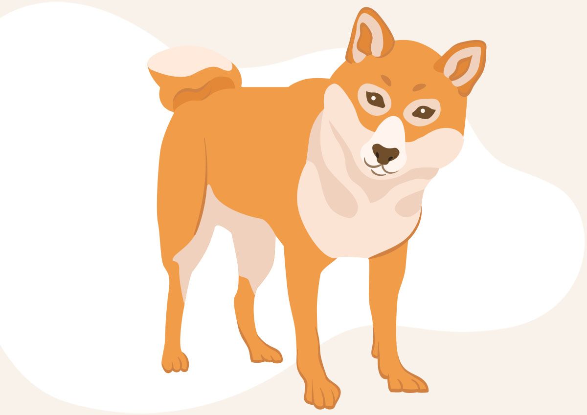 side orange husky dog
